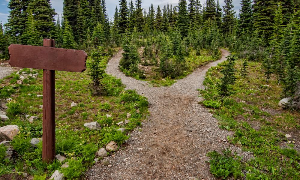 Because I Chose This Path