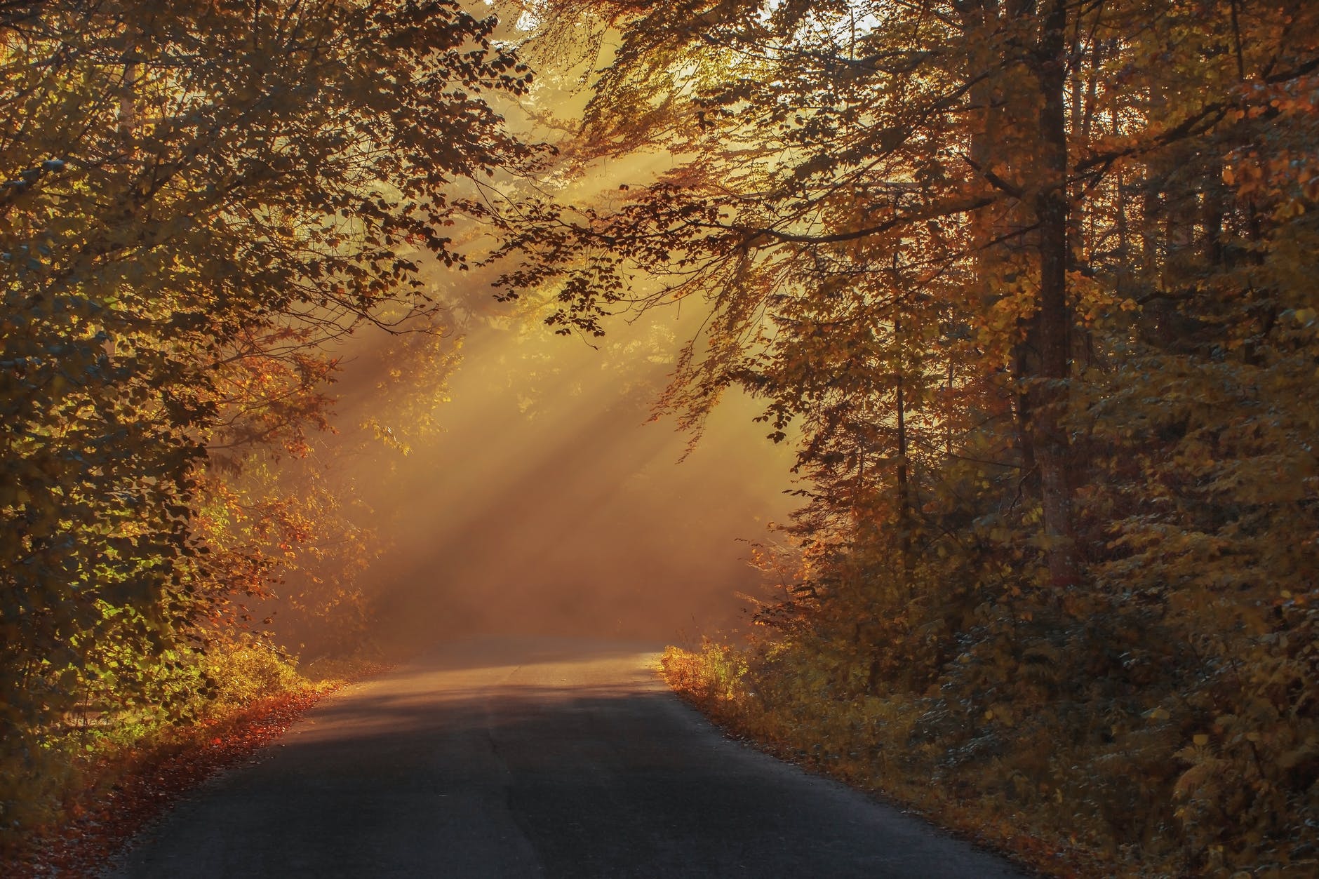 What are the Benefits of Waking Up Early?